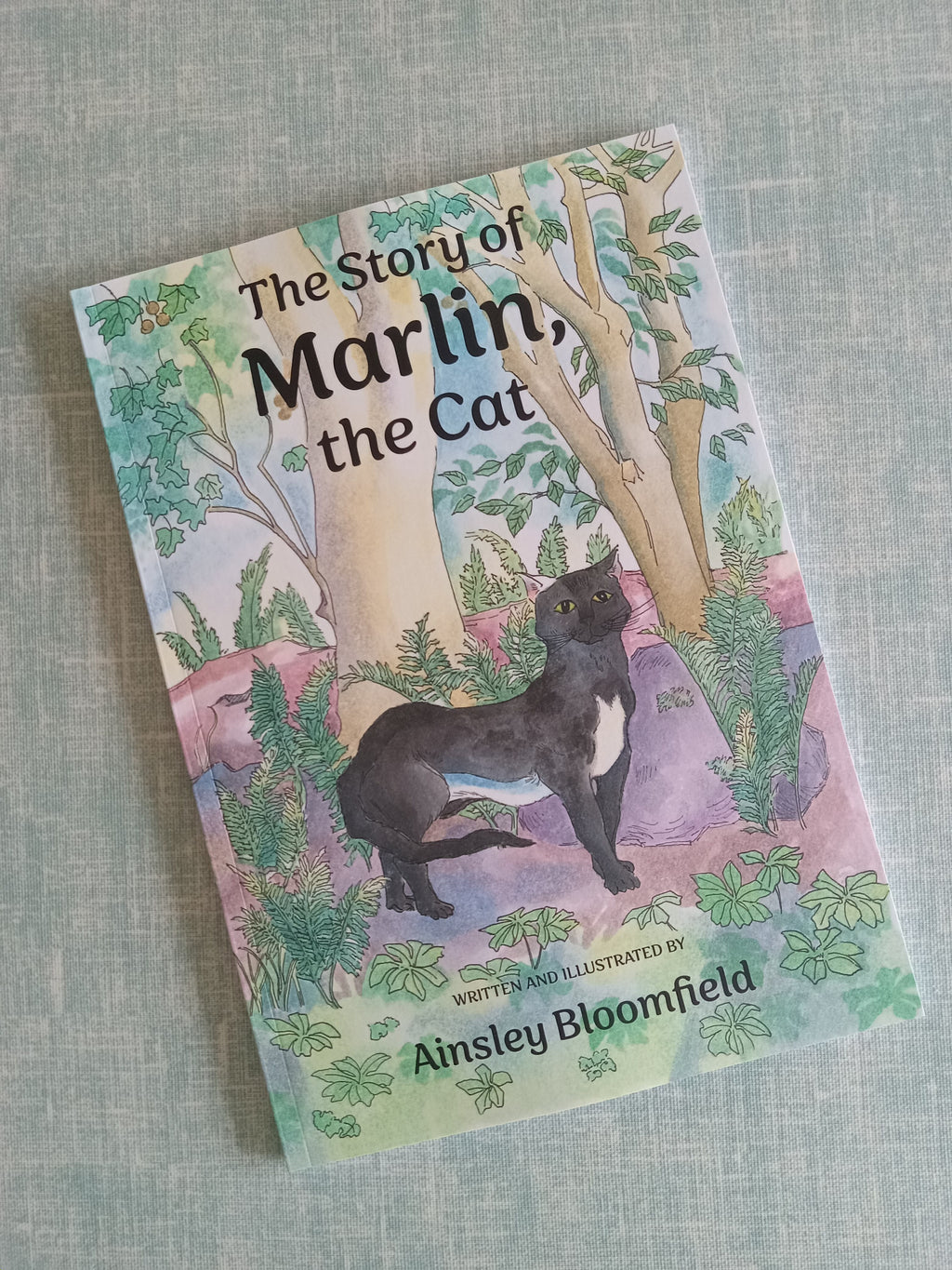 The Story of Marlin, the Cat Paperback Children's Book