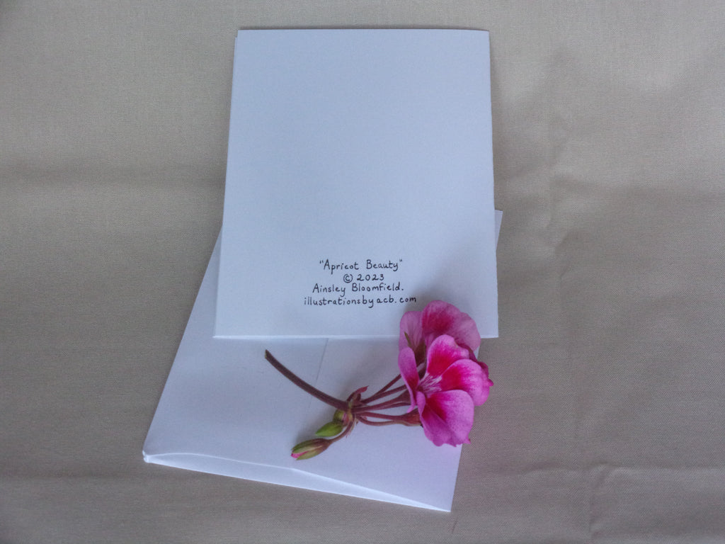 Apricot Beauty 4x5 Blank Card