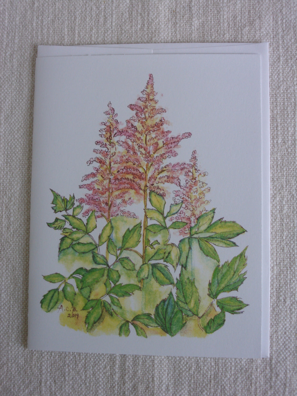 Astilbes 4x5 Blank Card