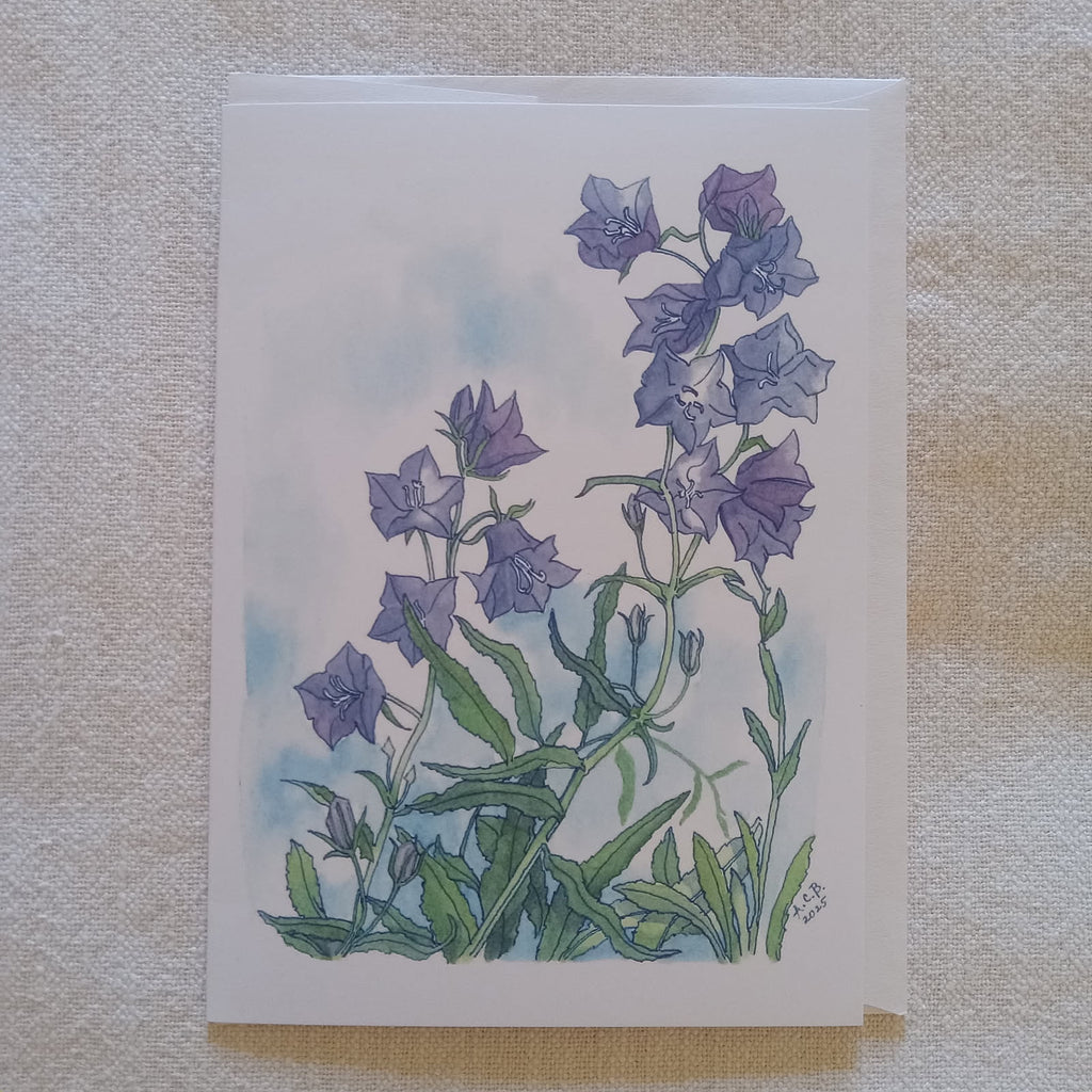 Bellflower 5x7 Blank Card