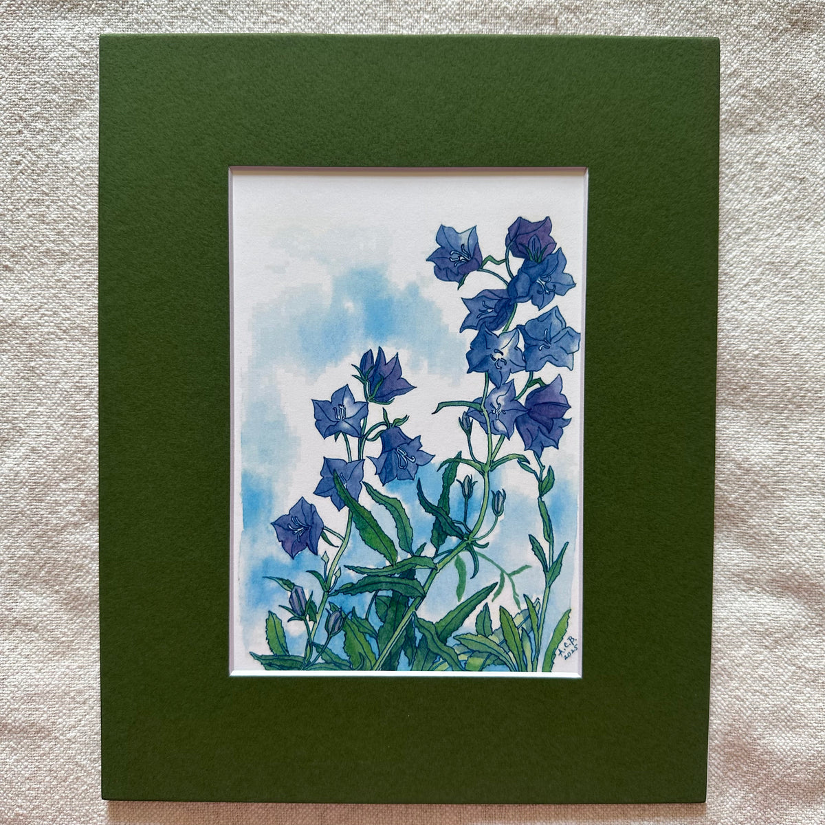 Garden Flowers 5x7 Print with 8x10 Mat: Bellflower