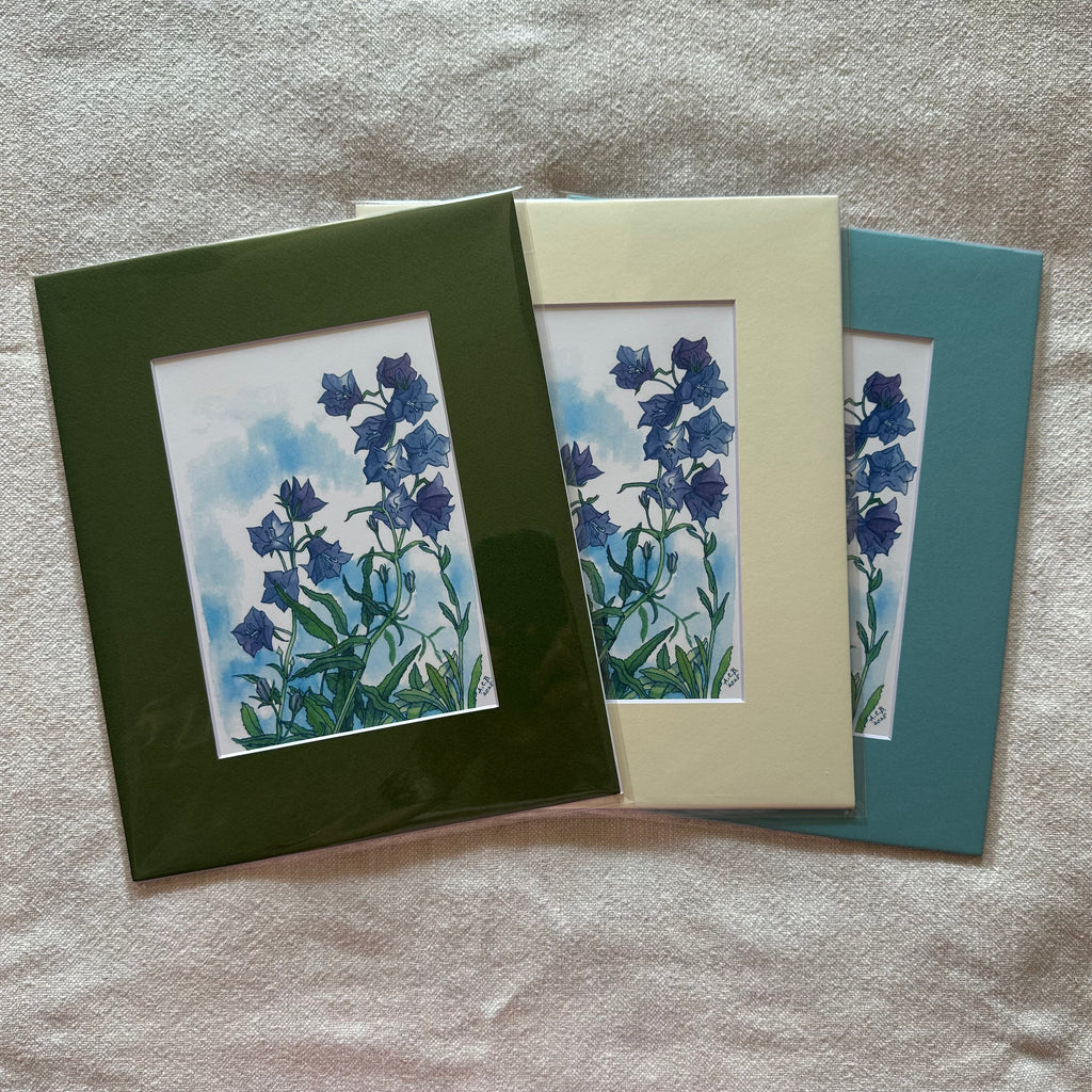 Garden Flowers 5x7 Print with 8x10 Mat: Bellflower