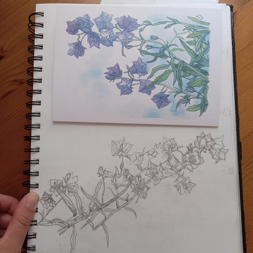 Bellflower 5x7 Blank Card