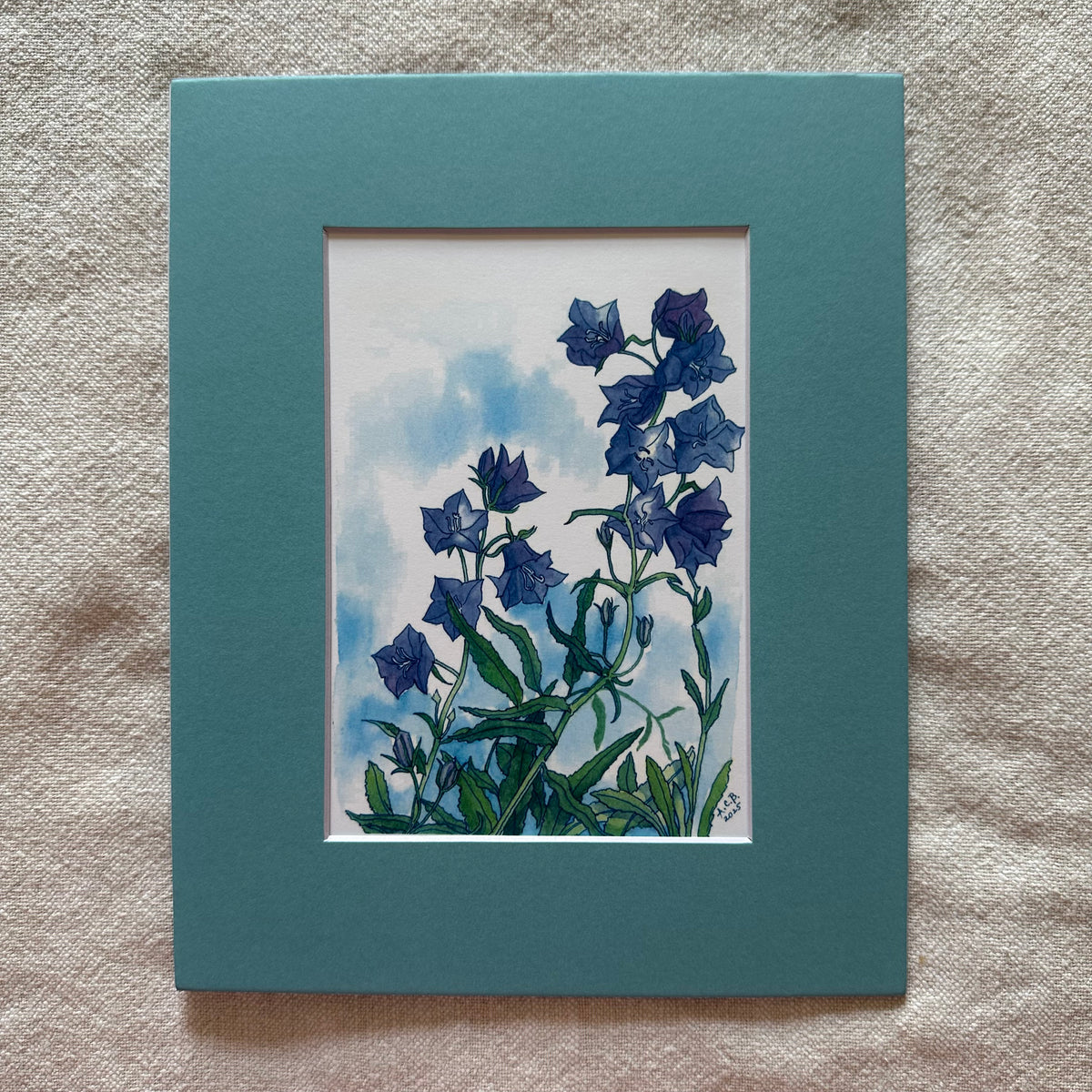 Garden Flowers 5x7 Print with 8x10 Mat: Bellflower