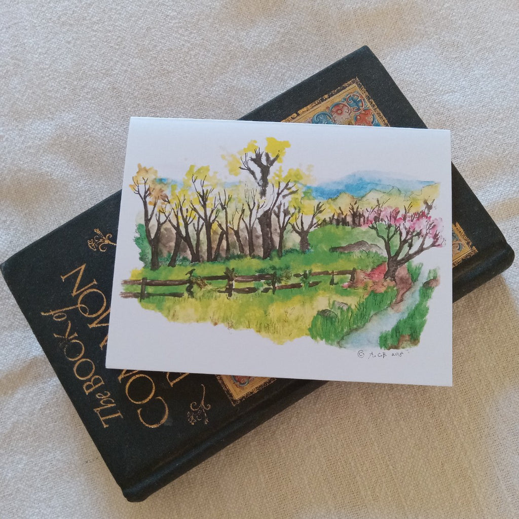 Blue Ridge Spring 4x5 Blank Card