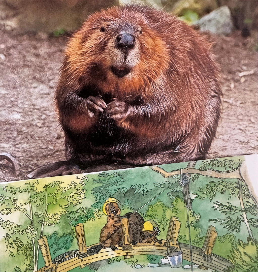 Whimsical Animals Beavers 5x7 Blank Watercolor Card: Bridge Builders