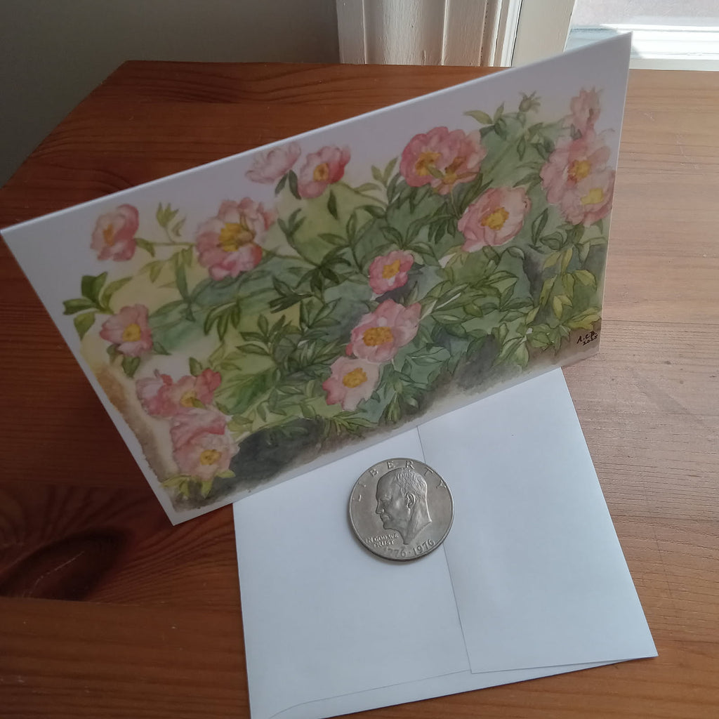 Garden Flowers 4x5 Blank Watercolor Card: Capitol Hill Peonies