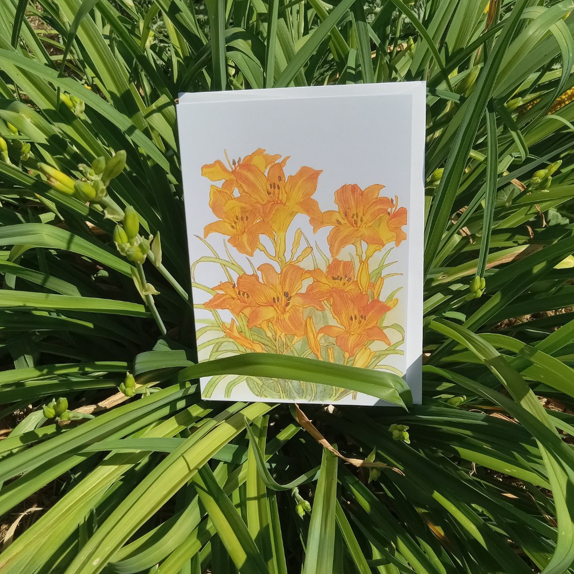 Garden Flowers 5x7 Blank Watercolor Card: Daylilies