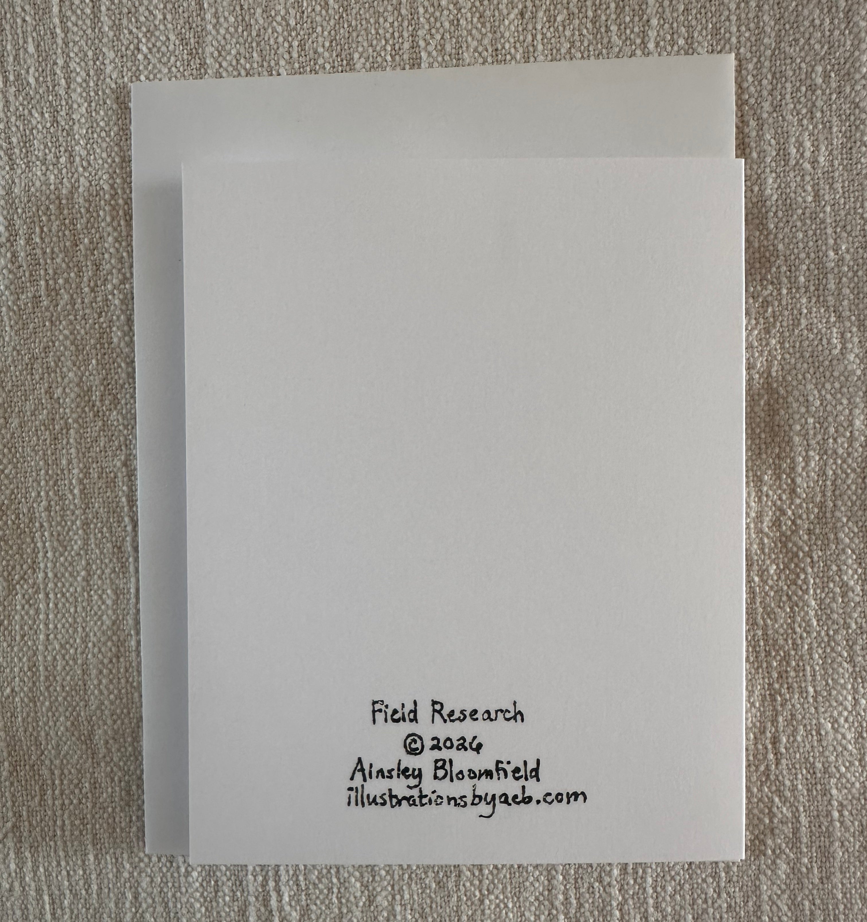 Whimsical Animal Bears 4x5 Blank Watercolor Card: Field Research