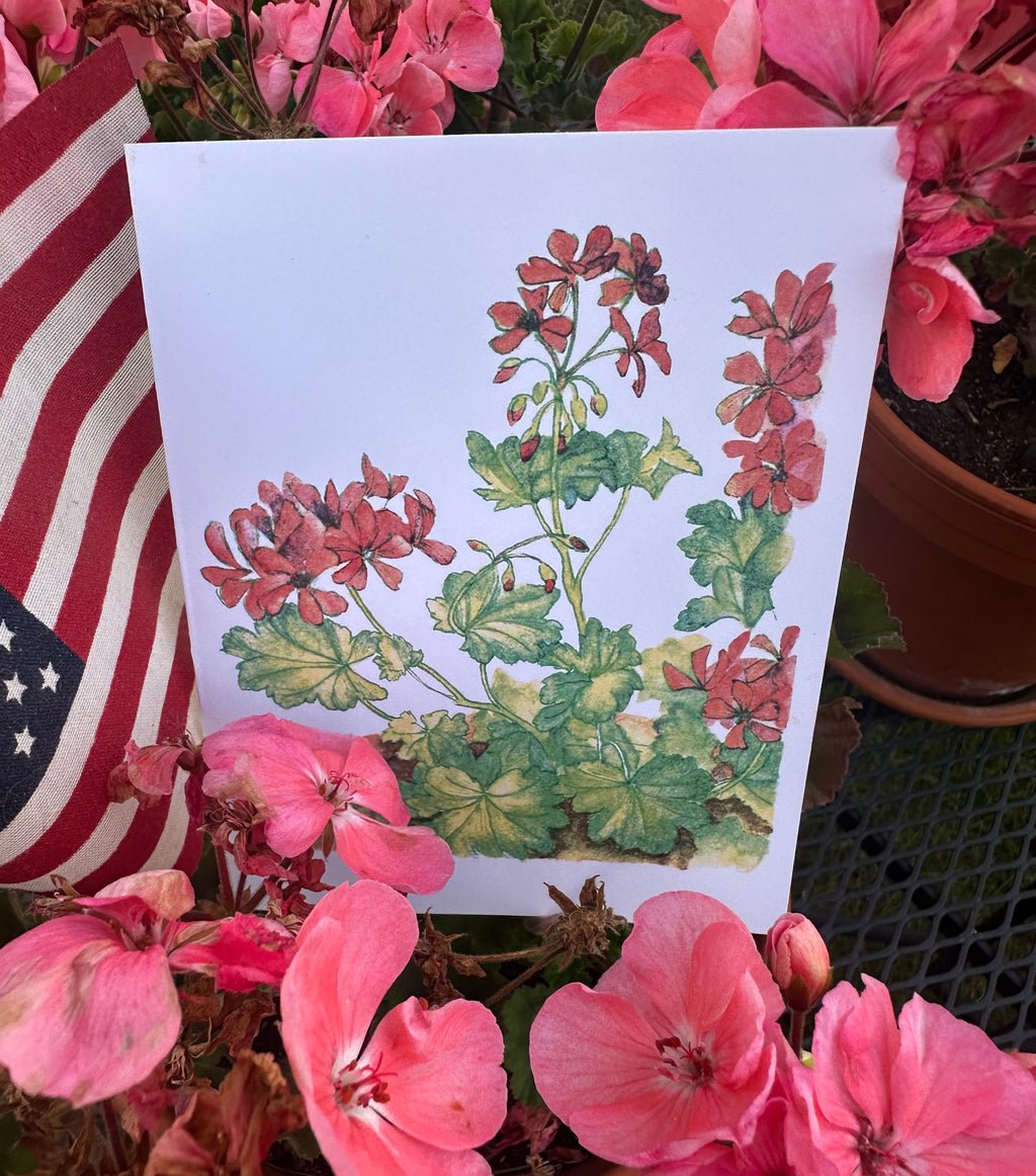 Garden Flowers 4x5 Blank Watercolor Card: Geraniums