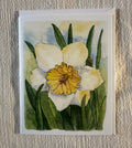 Garden Flowers Daffodils 4x5 Blank Watercolor Card: Ice Follies