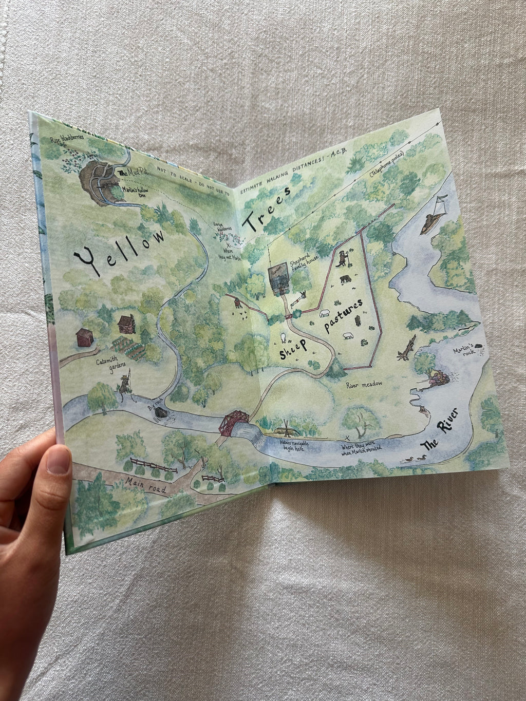 The Story of Marlin, the Cat Children's Book