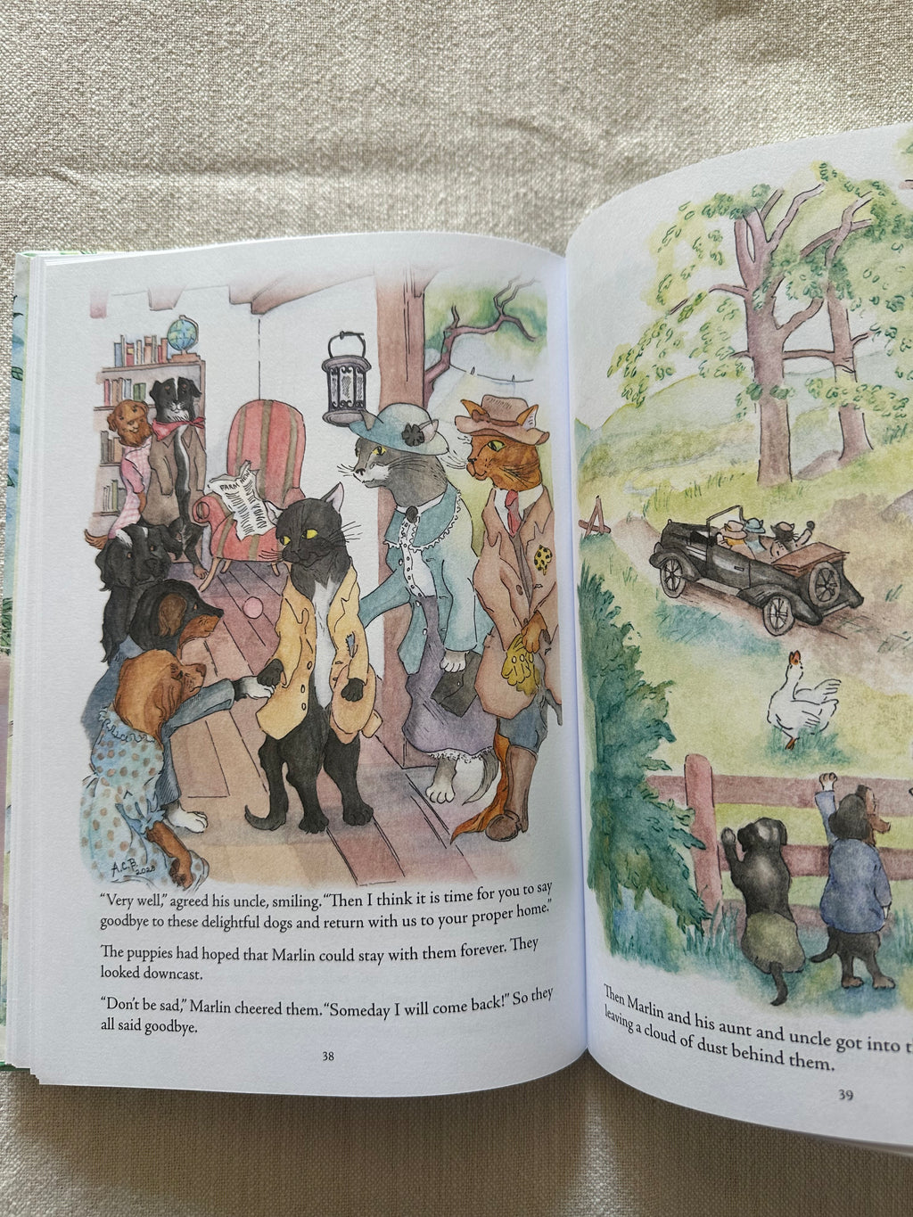 The Story of Marlin, the Cat Children's Book