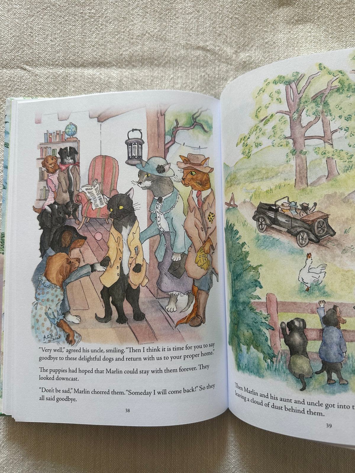 The Story of Marlin, the Cat Children's Book