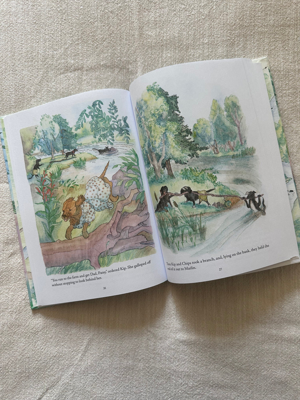 The Story of Marlin, the Cat Children's Book