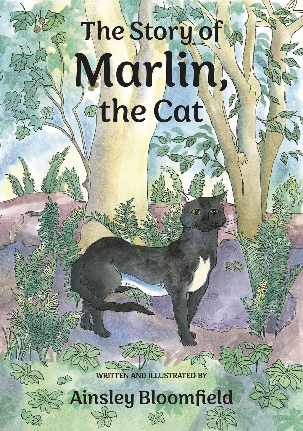 The Story of Marlin, the Cat Paperback Children's Book