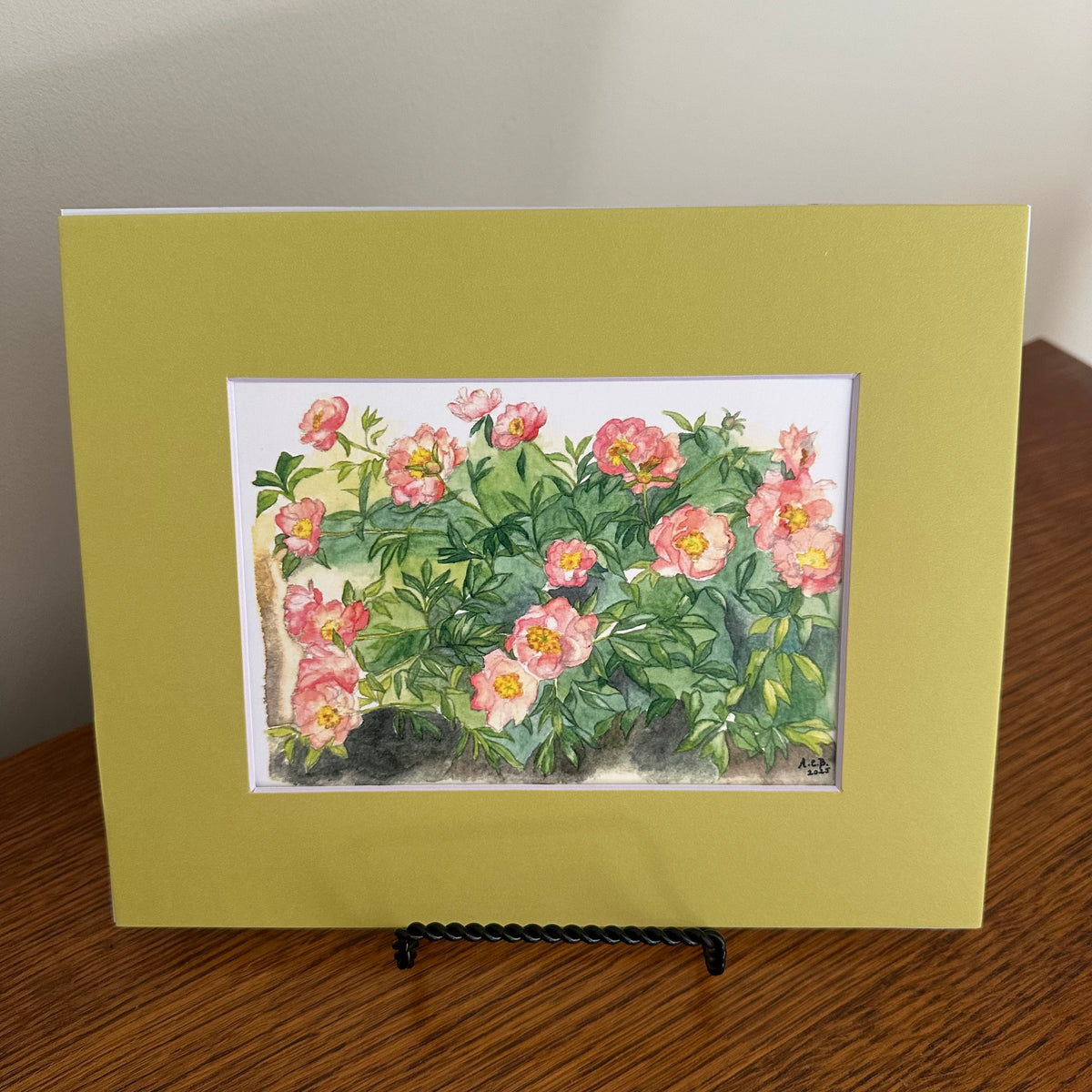 Garden Flowers 5x7 Print with 8x10 Mat: Capitol Hill Peonies