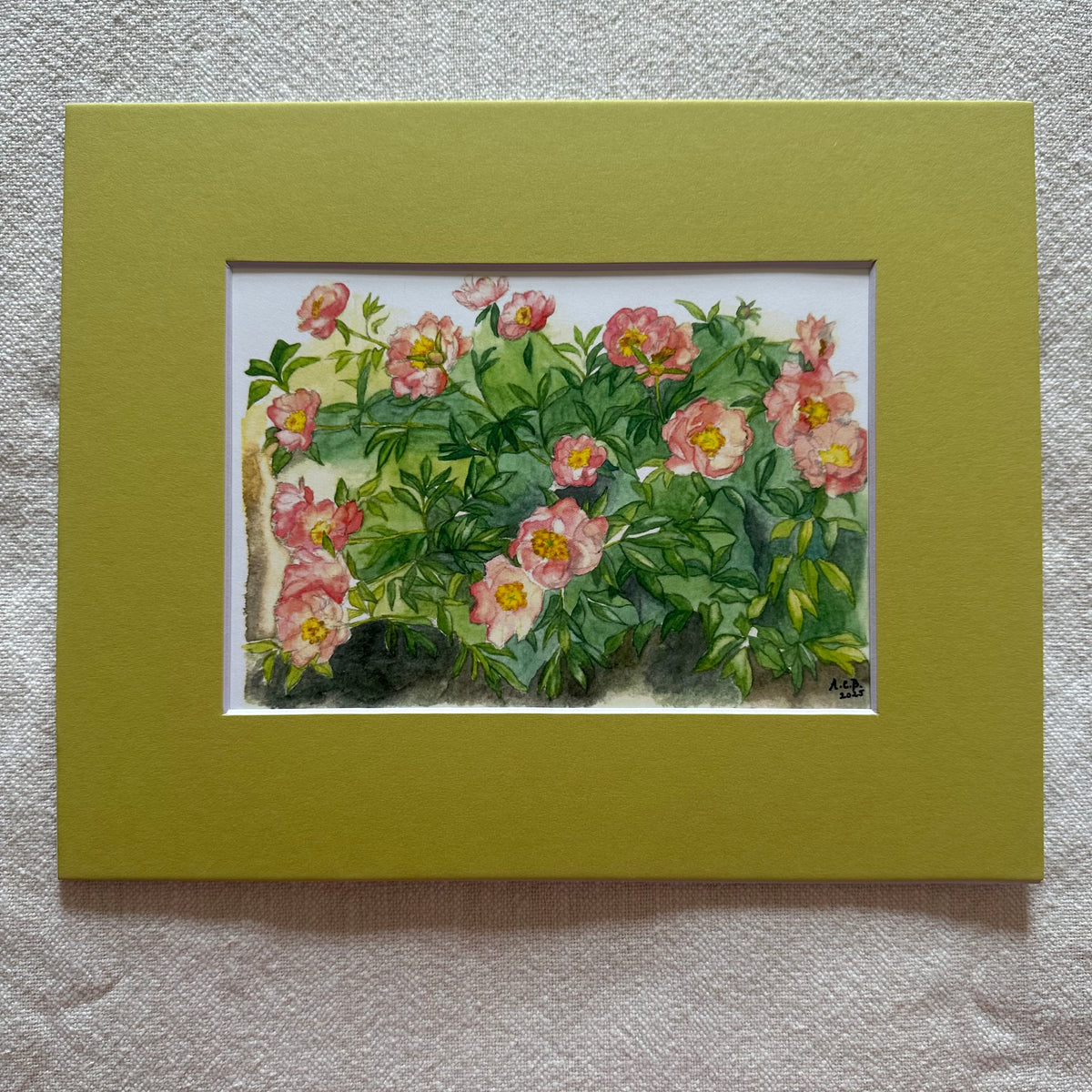 Garden Flowers 5x7 Print with 8x10 Mat: Capitol Hill Peonies