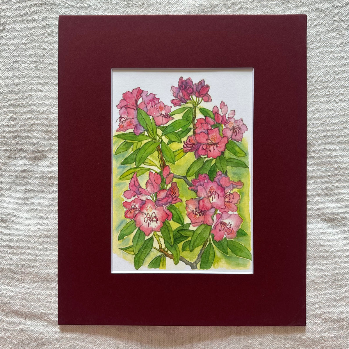 Garden Flowers 5x7 Print in 8x10 Mat: Rhododendrons