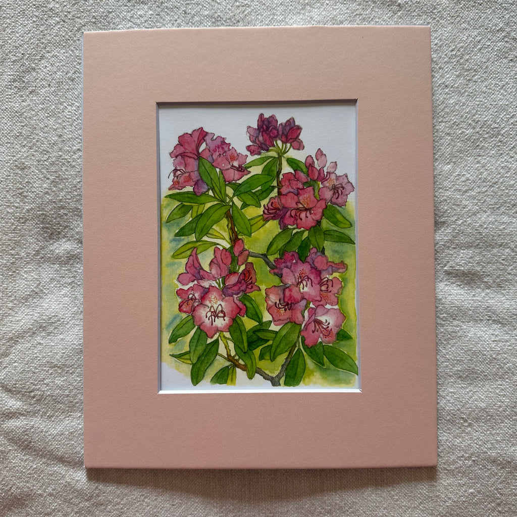Garden Flowers 5x7 Print in 8x10 Mat: Rhododendrons