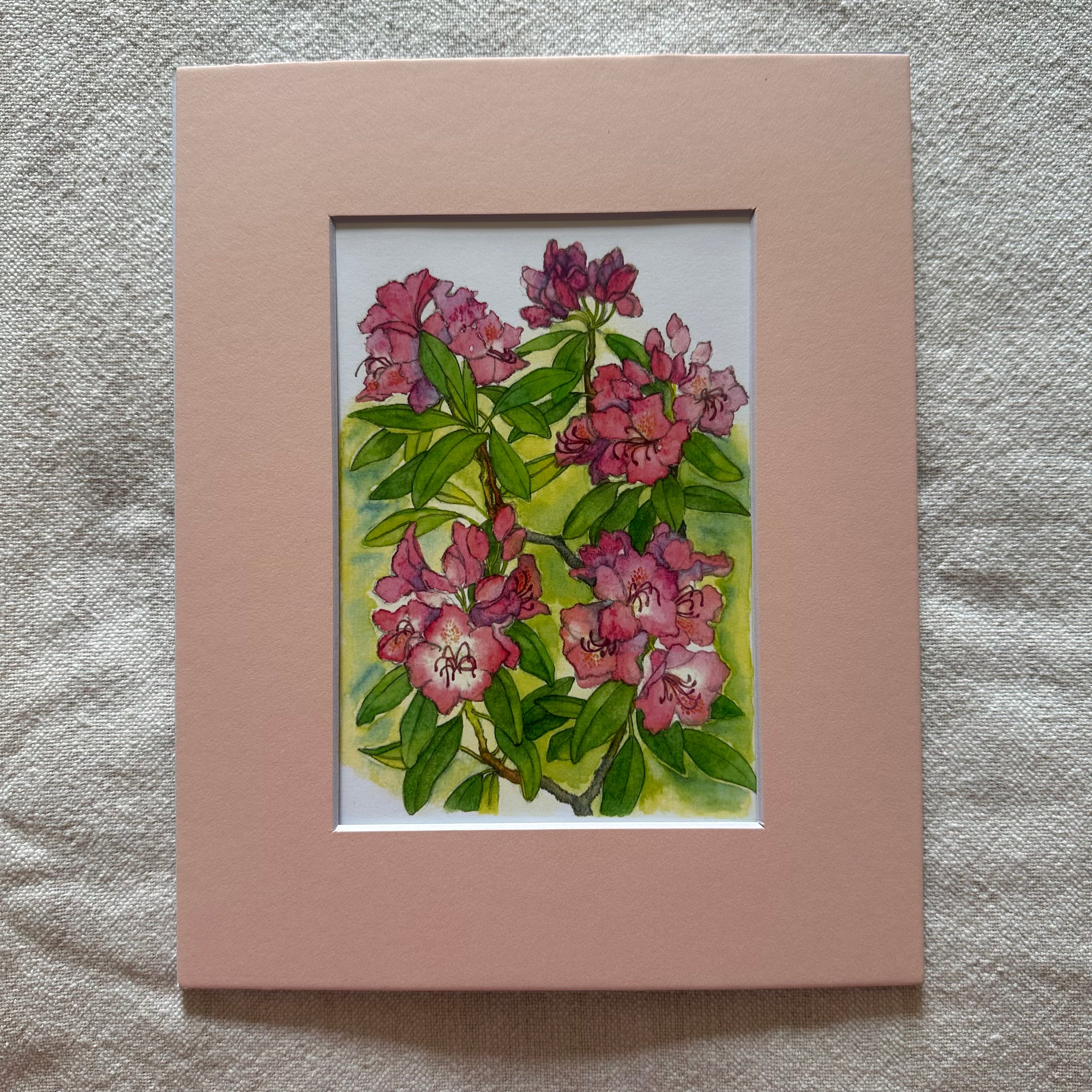 Garden Flowers 5x7 Print in 8x10 Mat: Rhododendrons