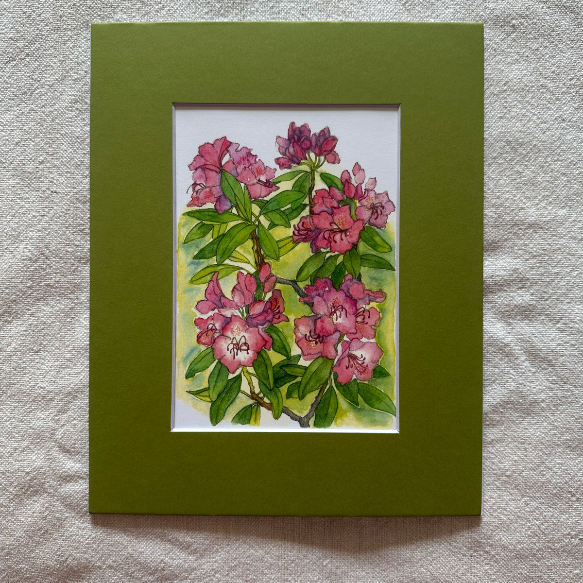 Garden Flowers 5x7 Print in 8x10 Mat: Rhododendrons