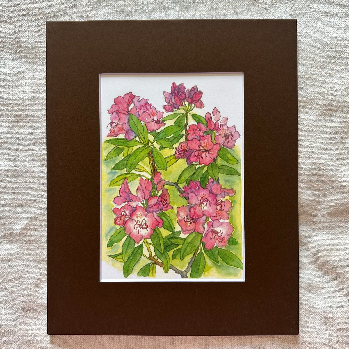 Garden Flowers 5x7 Print in 8x10 Mat: Rhododendrons