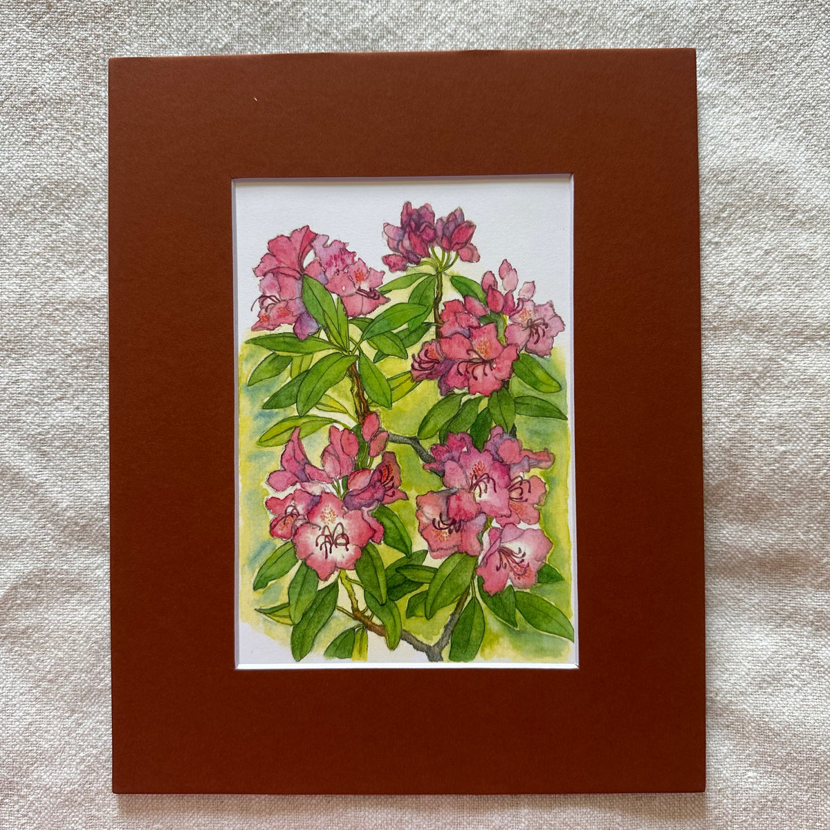 Garden Flowers 5x7 Print in 8x10 Mat: Rhododendrons