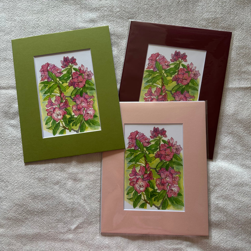 Garden Flowers 5x7 Print in 8x10 Mat: Rhododendrons