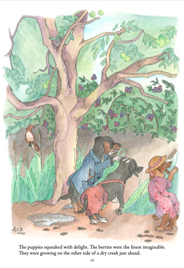 The Story of Marlin, the Cat Paperback Children's Book