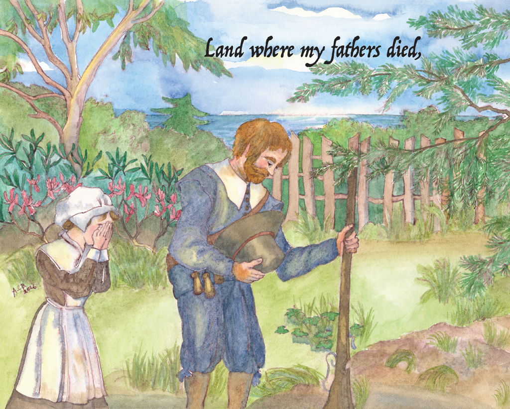 My Country, 'Tis of Thee Paperback Children's Book