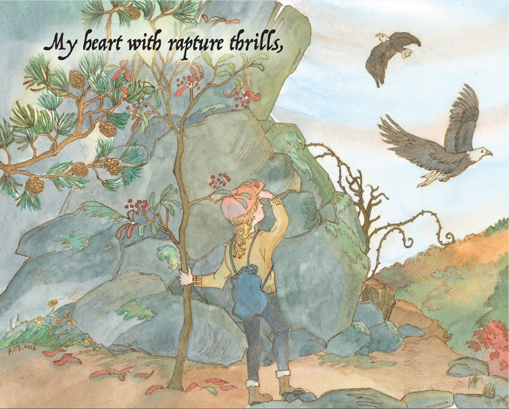 My Country, 'Tis of Thee Paperback Children's Book