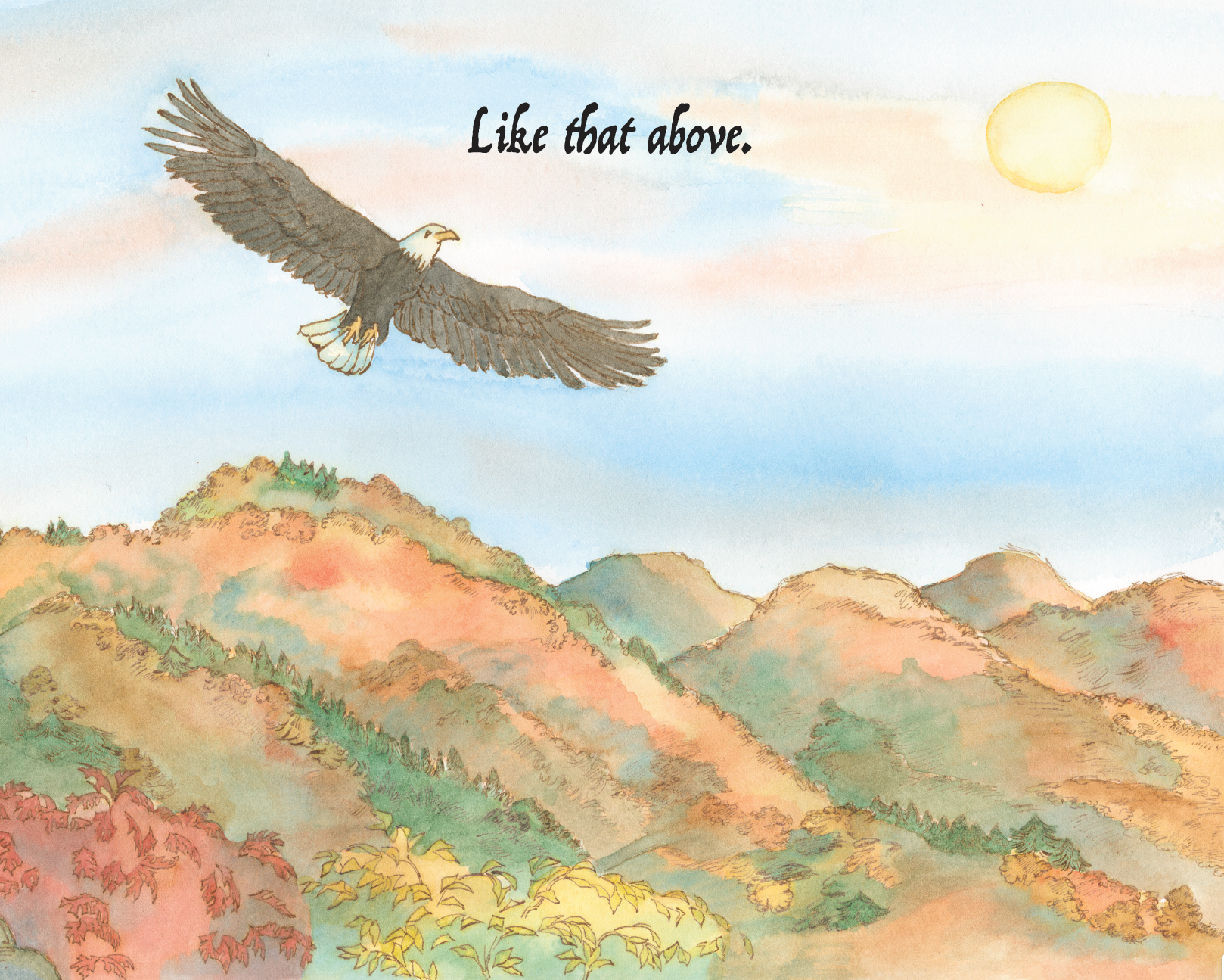 My Country, 'Tis of Thee Paperback Children's Book