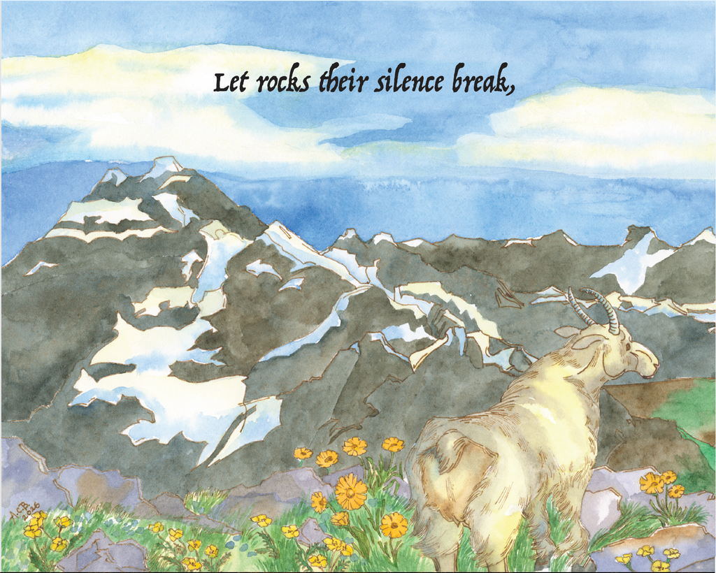 My Country, 'Tis of Thee Paperback Children's Book