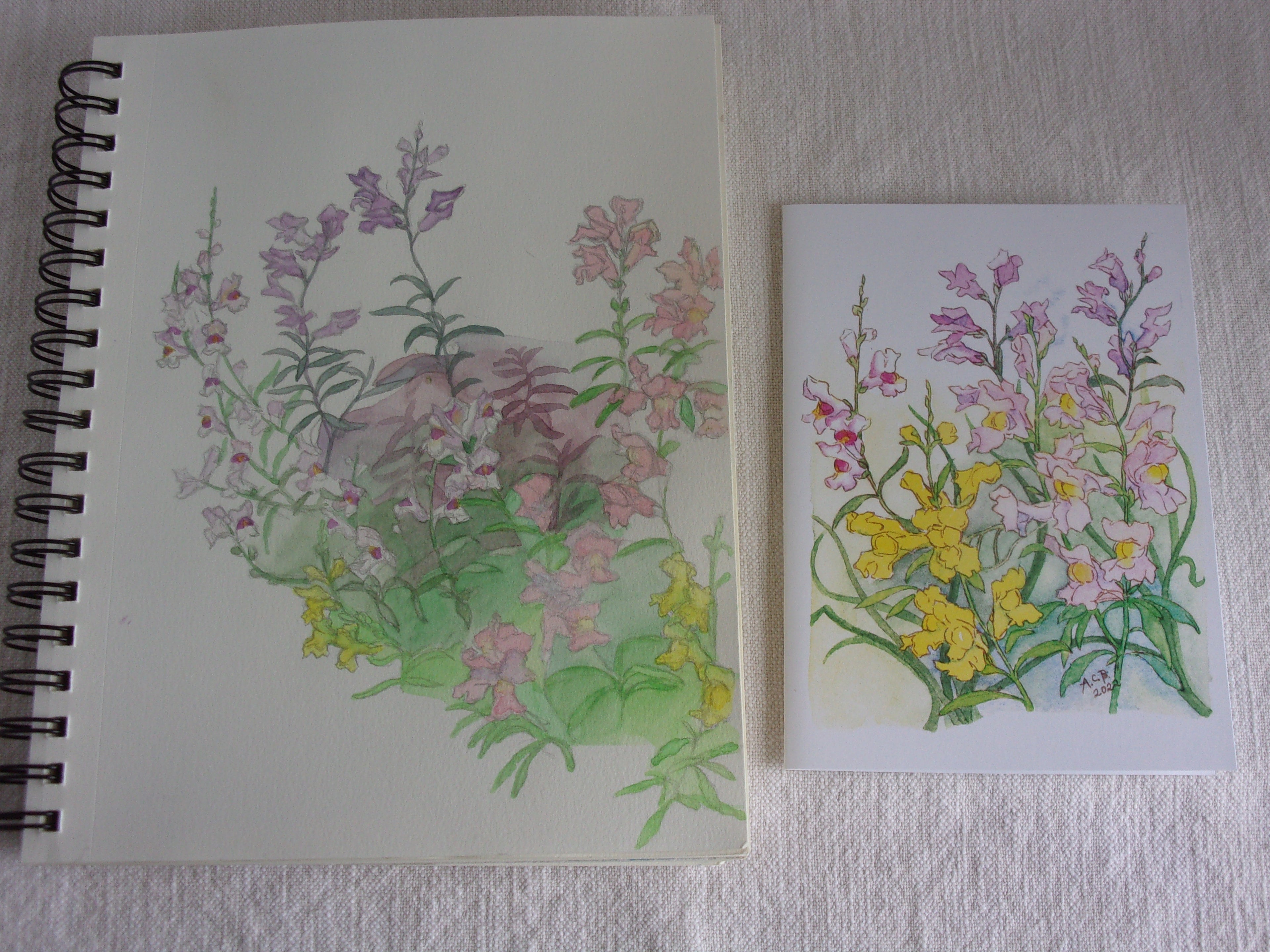 Snapdragons 5x7 Blank Card