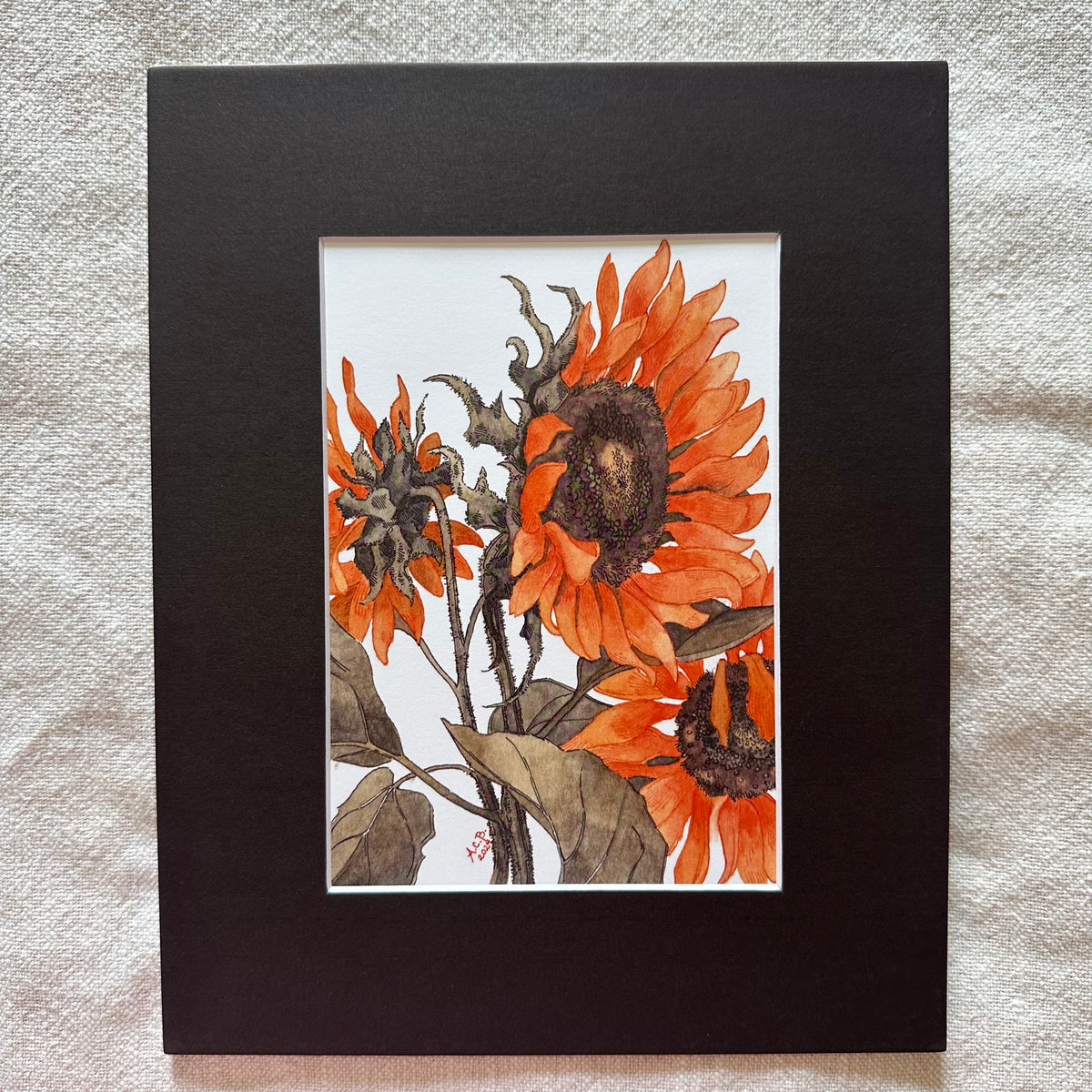 Garden Flowers 5x7 Print in 8x10 Mat: Sunflowers in Two Tones