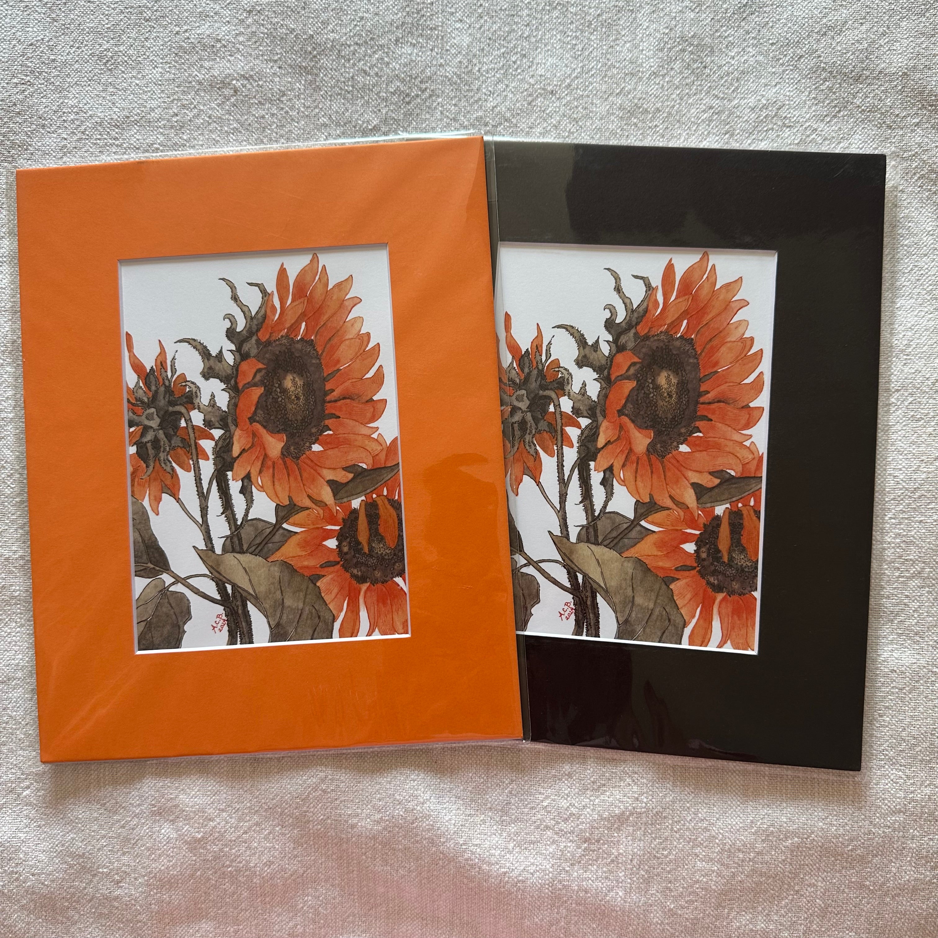 Garden Flowers 5x7 Print in 8x10 Mat: Sunflowers in Two Tones
