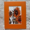 Garden Flowers 5x7 Print in 8x10 Mat: Sunflowers in Two Tones