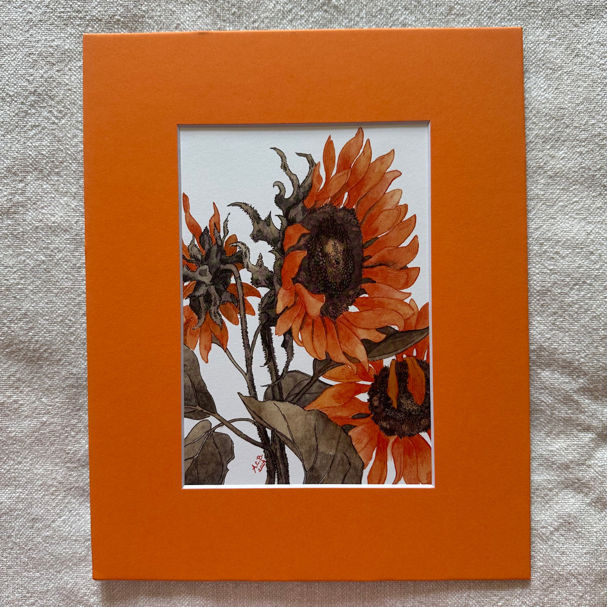 Garden Flowers 5x7 Print in 8x10 Mat: Sunflowers in Two Tones