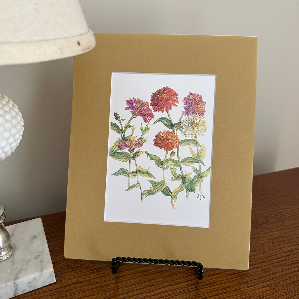 Garden Flowers 5x7 Print in 8x10 Mat: Zinnias