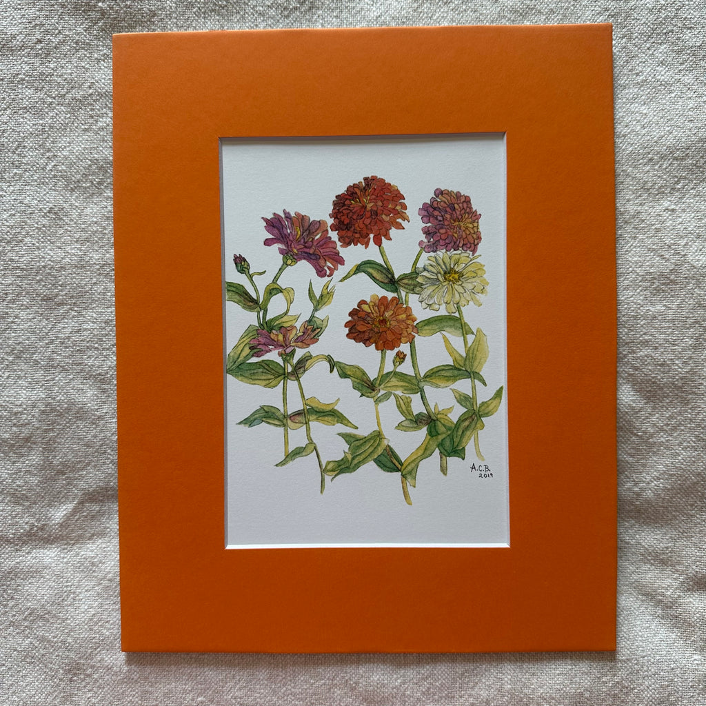 Garden Flowers 5x7 Print in 8x10 Mat: Zinnias