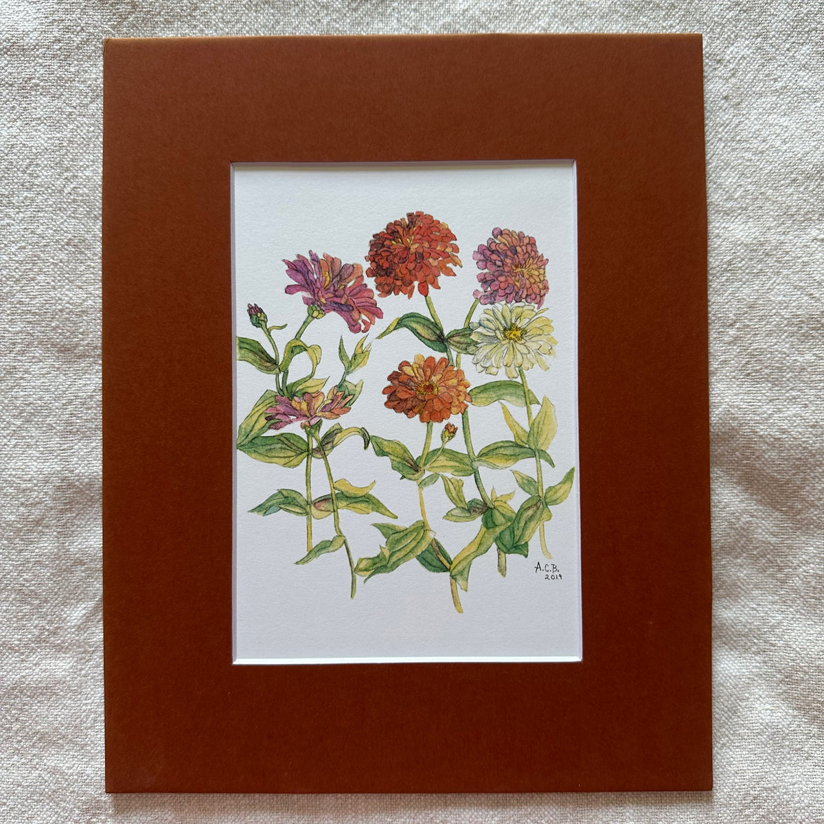 Garden Flowers 5x7 Print in 8x10 Mat: Zinnias