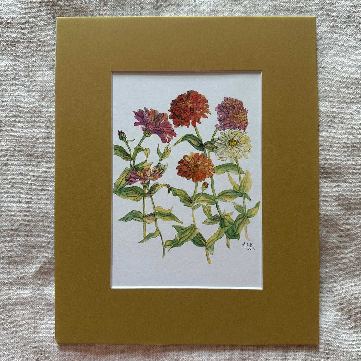 Garden Flowers 5x7 Print in 8x10 Mat: Zinnias