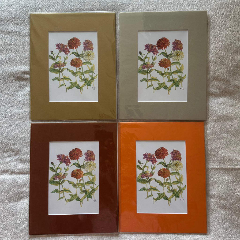 Garden Flowers 5x7 Print in 8x10 Mat: Zinnias