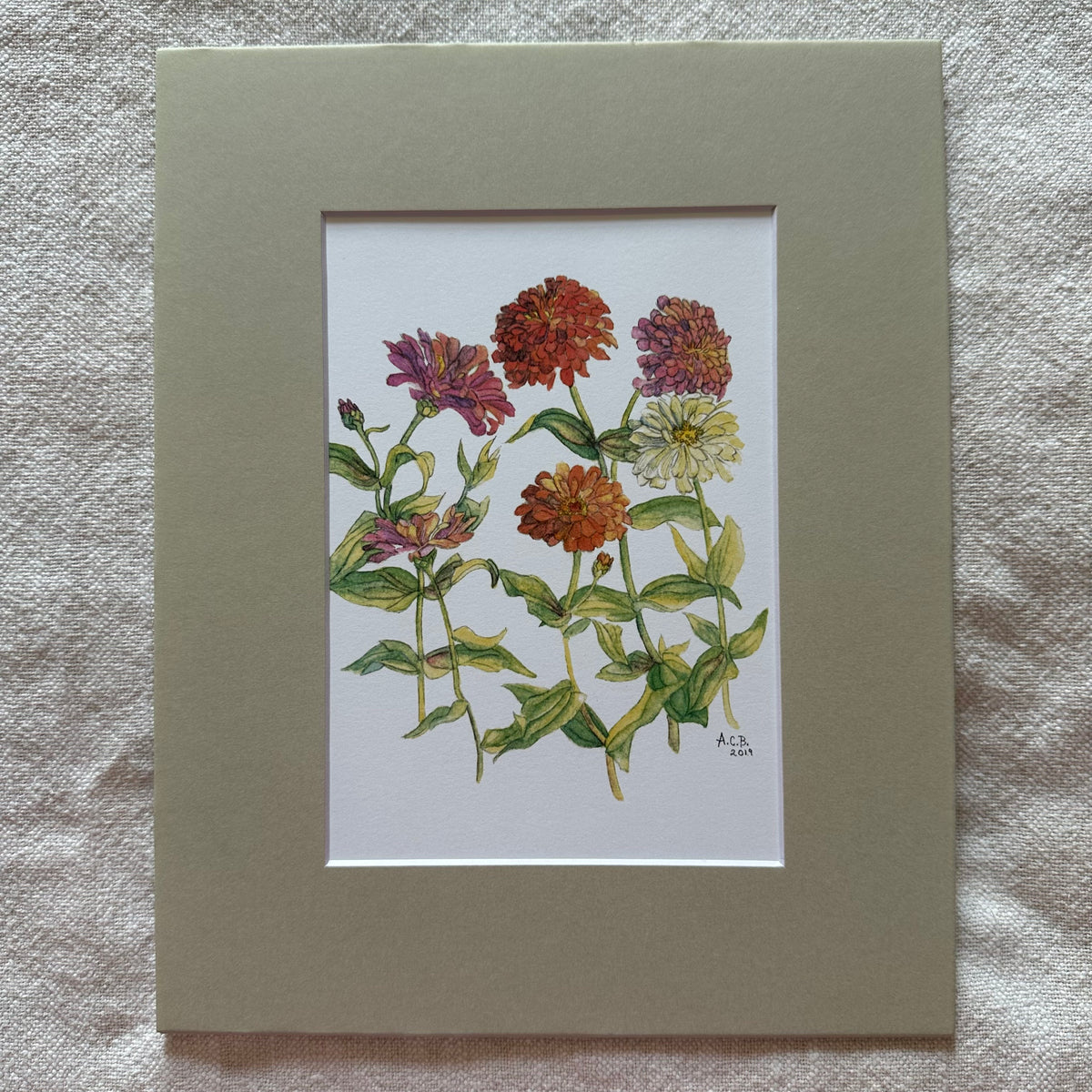 Garden Flowers 5x7 Print in 8x10 Mat: Zinnias