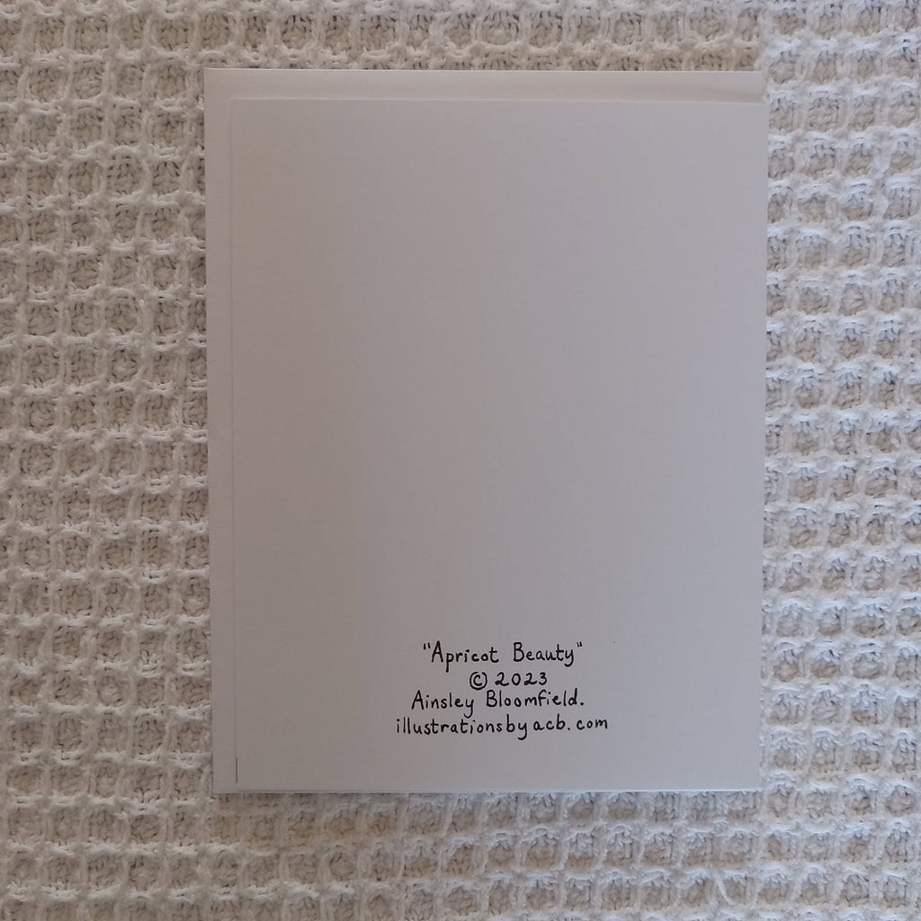 Apricot Beauty 4x5 Blank Card