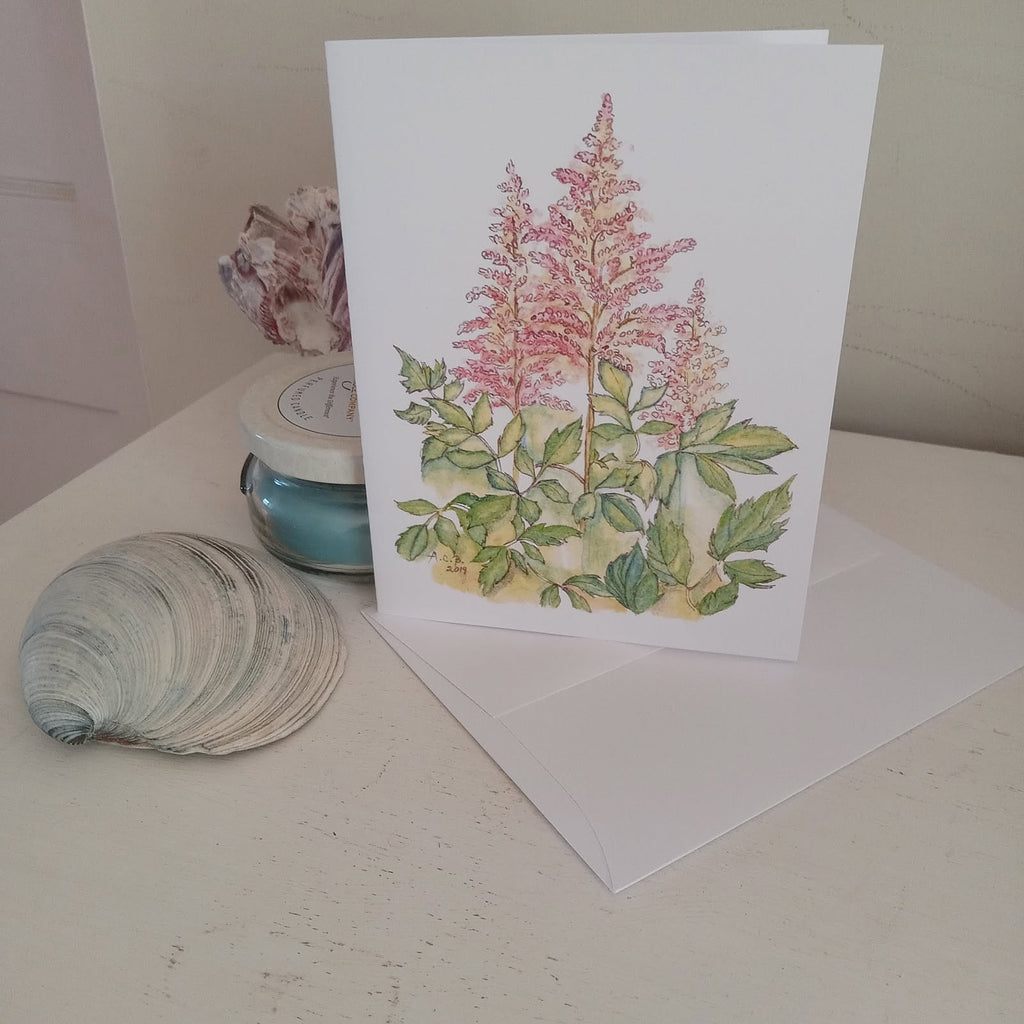 Astilbes 4x5 Blank Card