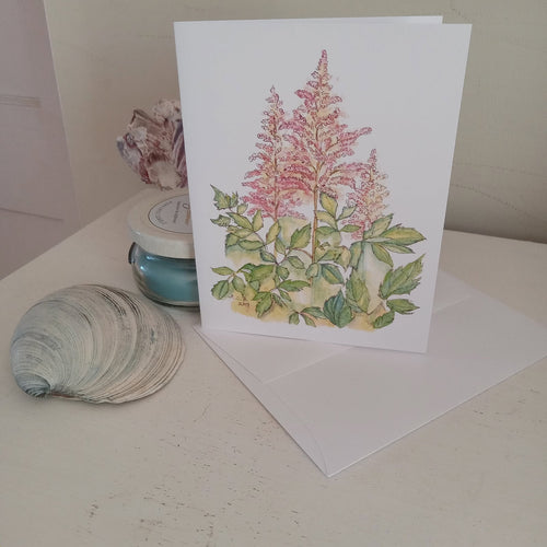 Astilbes 4x5 Blank Card