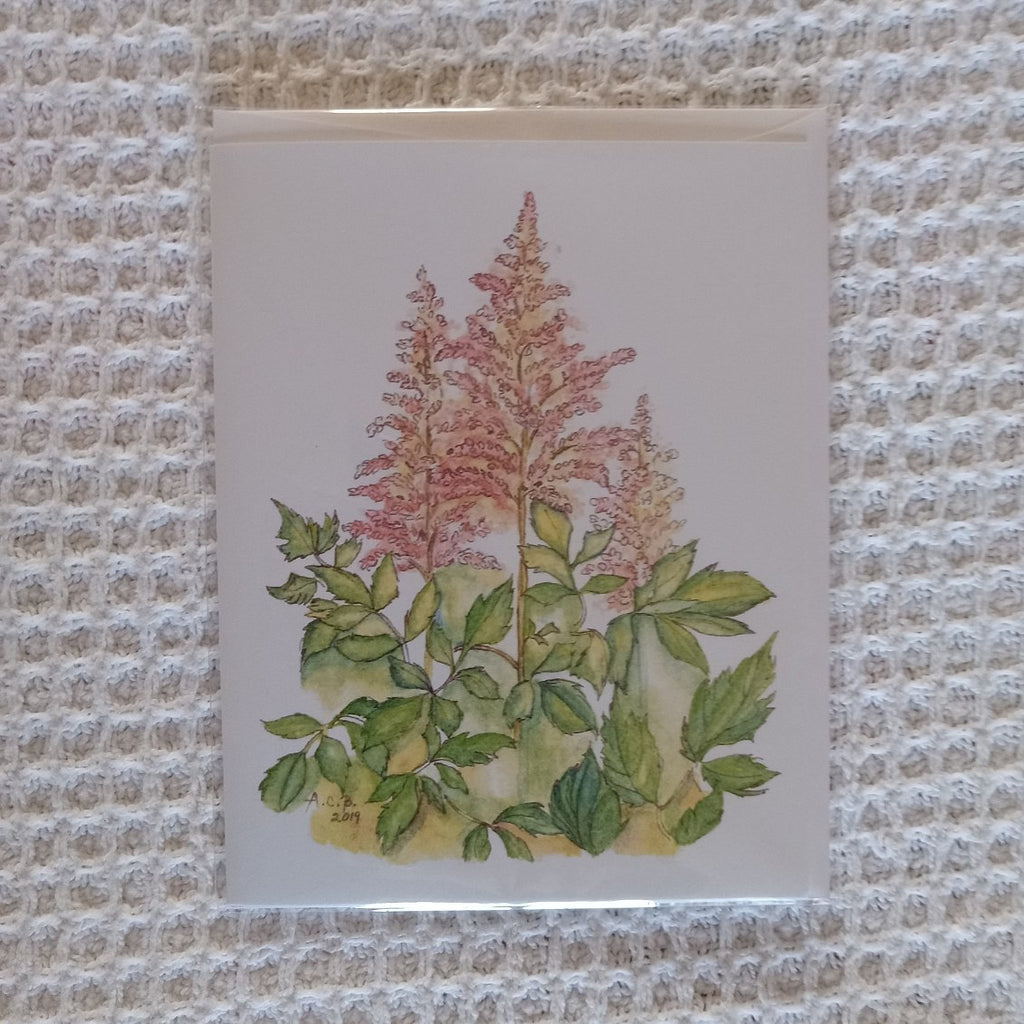 Astilbes 4x5 Blank Card